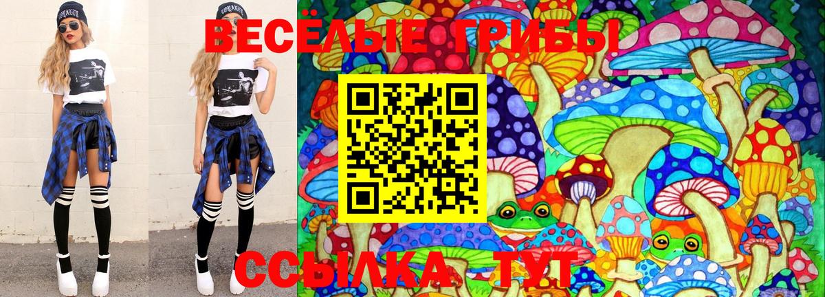 Галлюциногенные грибы Magic Shrooms Новозыбков