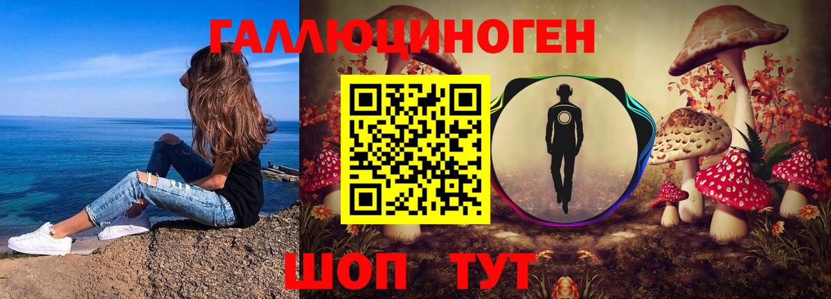 Новозыбков  Галлюциногенные грибы Magic Shrooms  Псилоцибиновые грибы прущие грибы  Вход с VPN 
